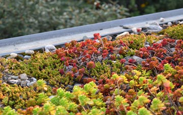 the cost of Kirkbride green roof installation