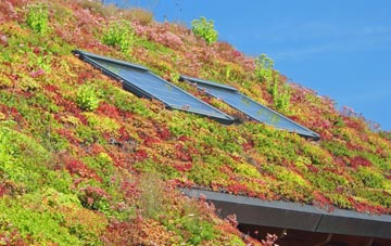 Kirkbride living roof systems